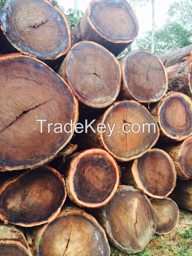 Mascarey logs