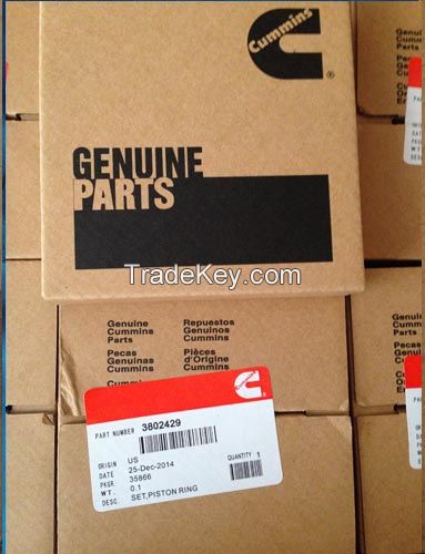 Cummins Engine 6CT Piston Ring 3802429, Cummins Original Parts Supplier