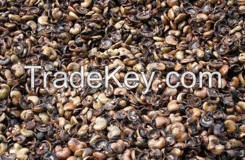 Cashew Nut Shells