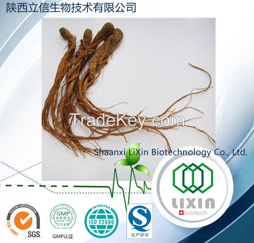 High Quality Natural American Ginseng Extract