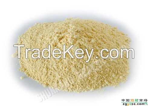 High Quality Natural American Ginseng Extract