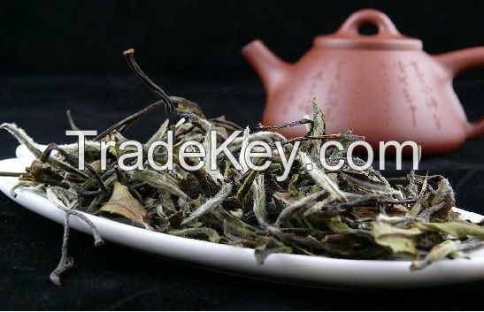 white tea