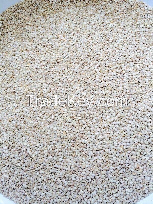 RAW NATURAL SUDANESE GEDDARIF WHITISH SESAME SEEDS