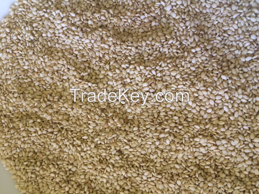 RAW NATURAL SUDANESE GEDDARIF WHITISH SESAME SEEDS