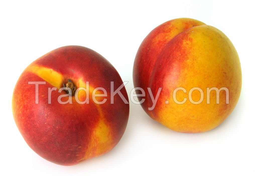 Fresh Peaches and Nectarines from Greece