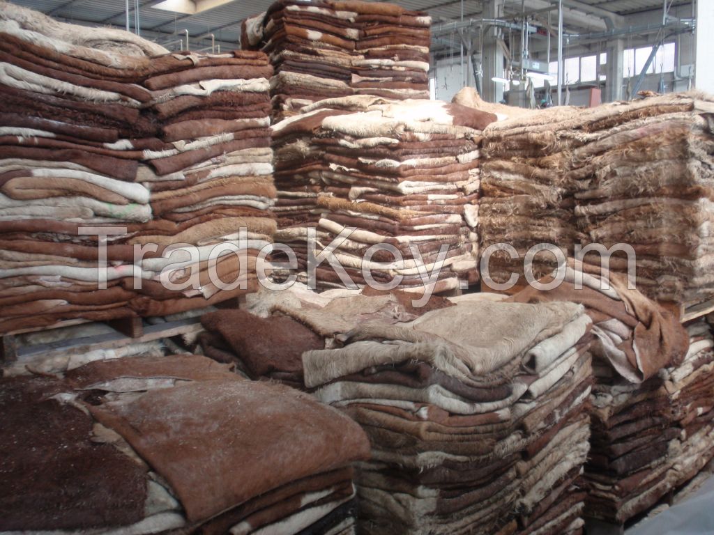 Dry And Wet Salted Donkey/horse Hide /wet Cow Hides .