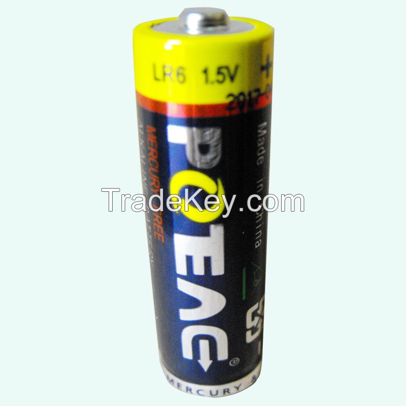 LR6 Alkaline Battery