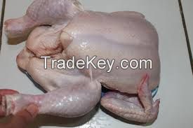 Brazilian Frozen Chicken Meat 