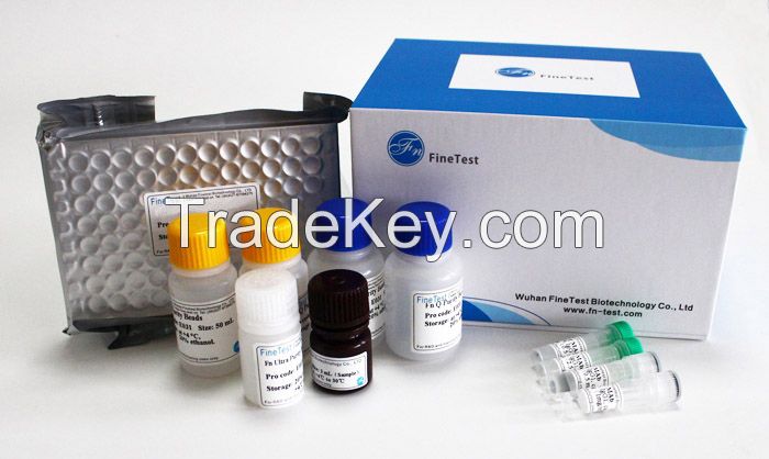EH302 TNFa Human ELISA Kit