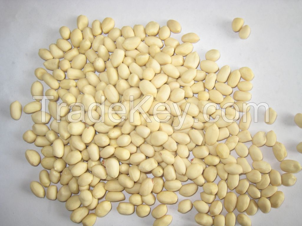 Blanched Groundnut kernel