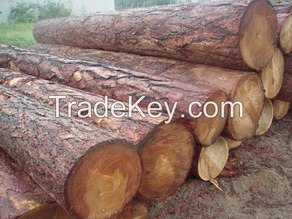 Siberian Lumber