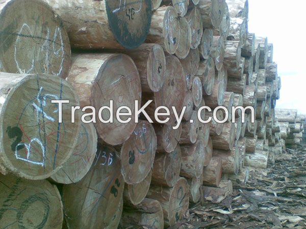 Siberian Timber