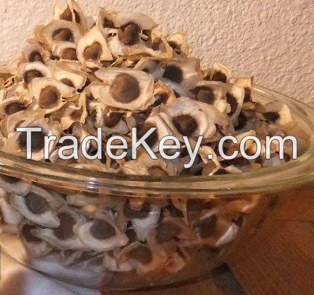 Dried Moringa seeds