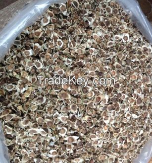 Dried Moringa seeds