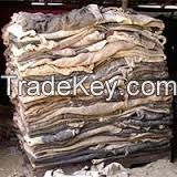 Wet/Dry Salted Cow Hides, Donkey Hides, Sheep Hides