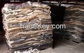 Wet/Dry Salted Cow Hides, Donkey Hides, Sheep Hides 