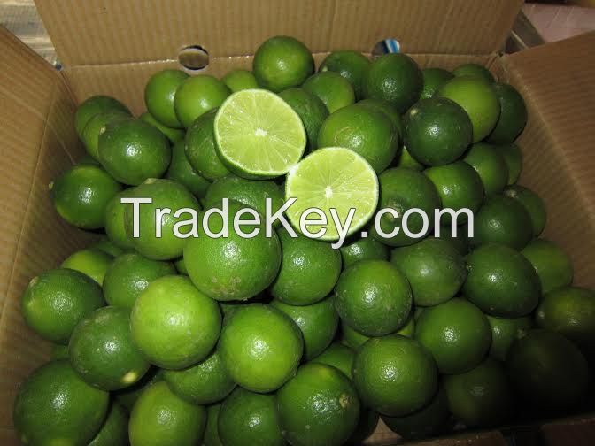 Vietnam Frozen green Lemon/ Lime