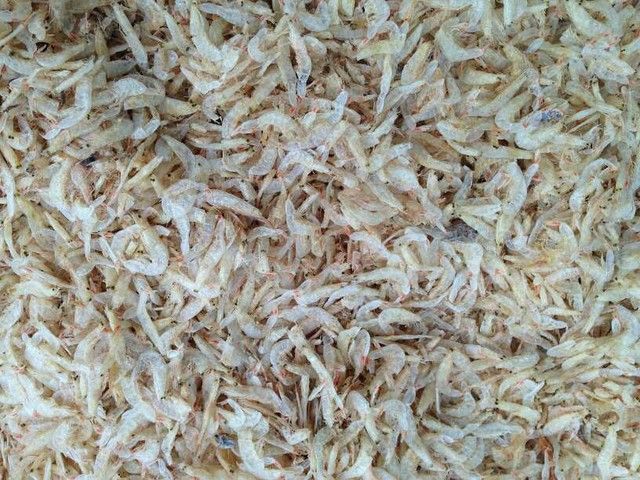 Vietnam dried baby shrimp