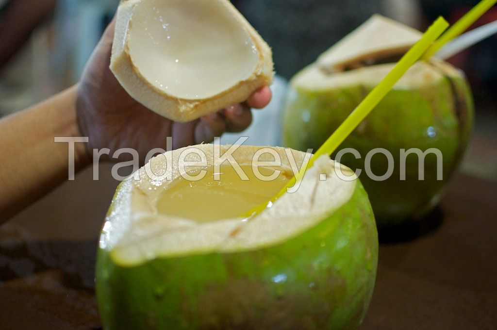 Fresh coconut essential for life