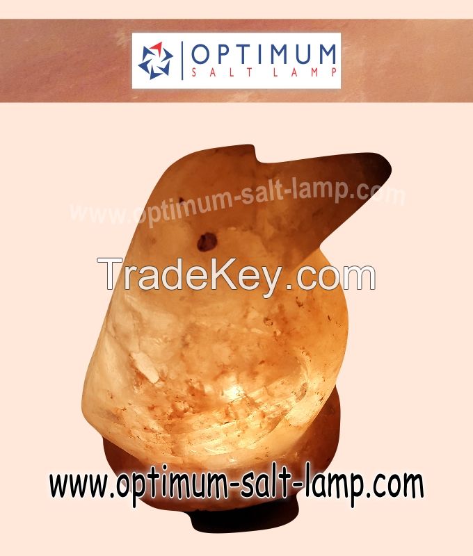 salt lamps Bird Shaped