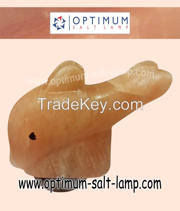 Fish Shaped Animal Salt Lamp