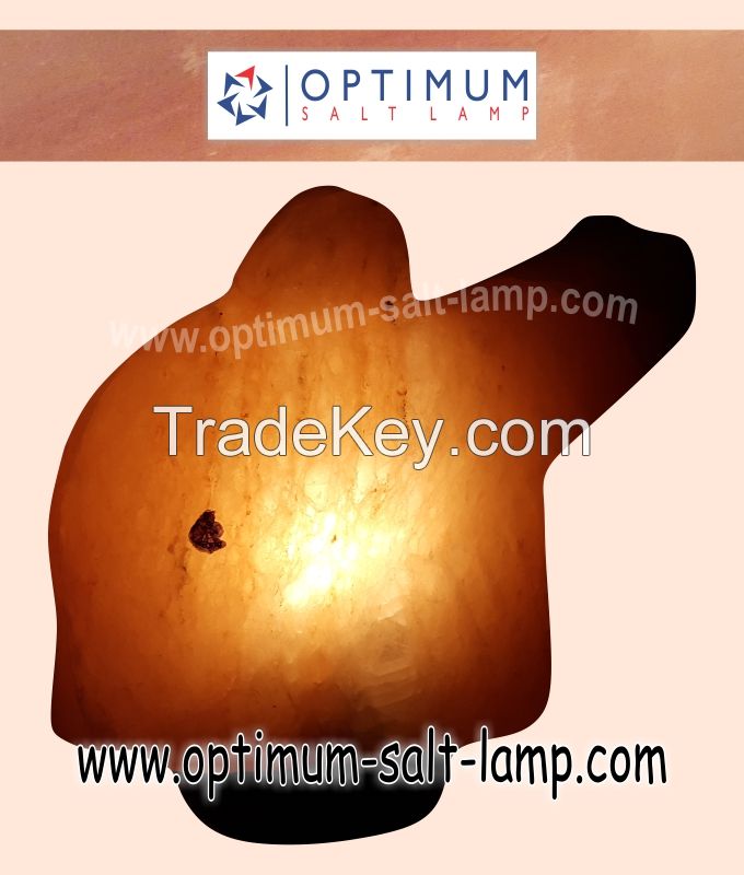 Fish Shaped Animal Salt Lamp