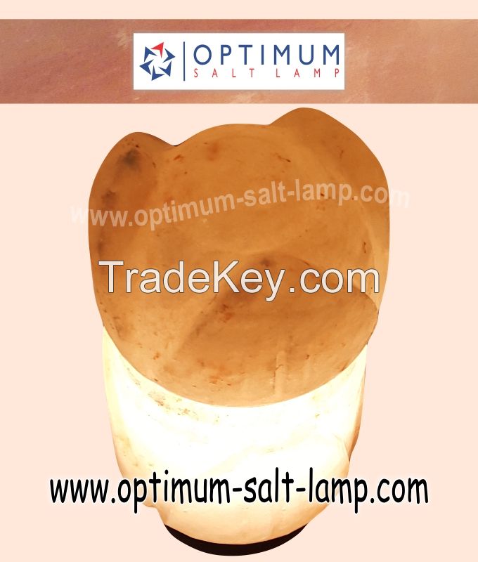 Flower Shaped Salt Lamp