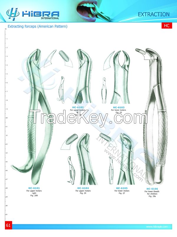 Extracting Forceps American Pattern