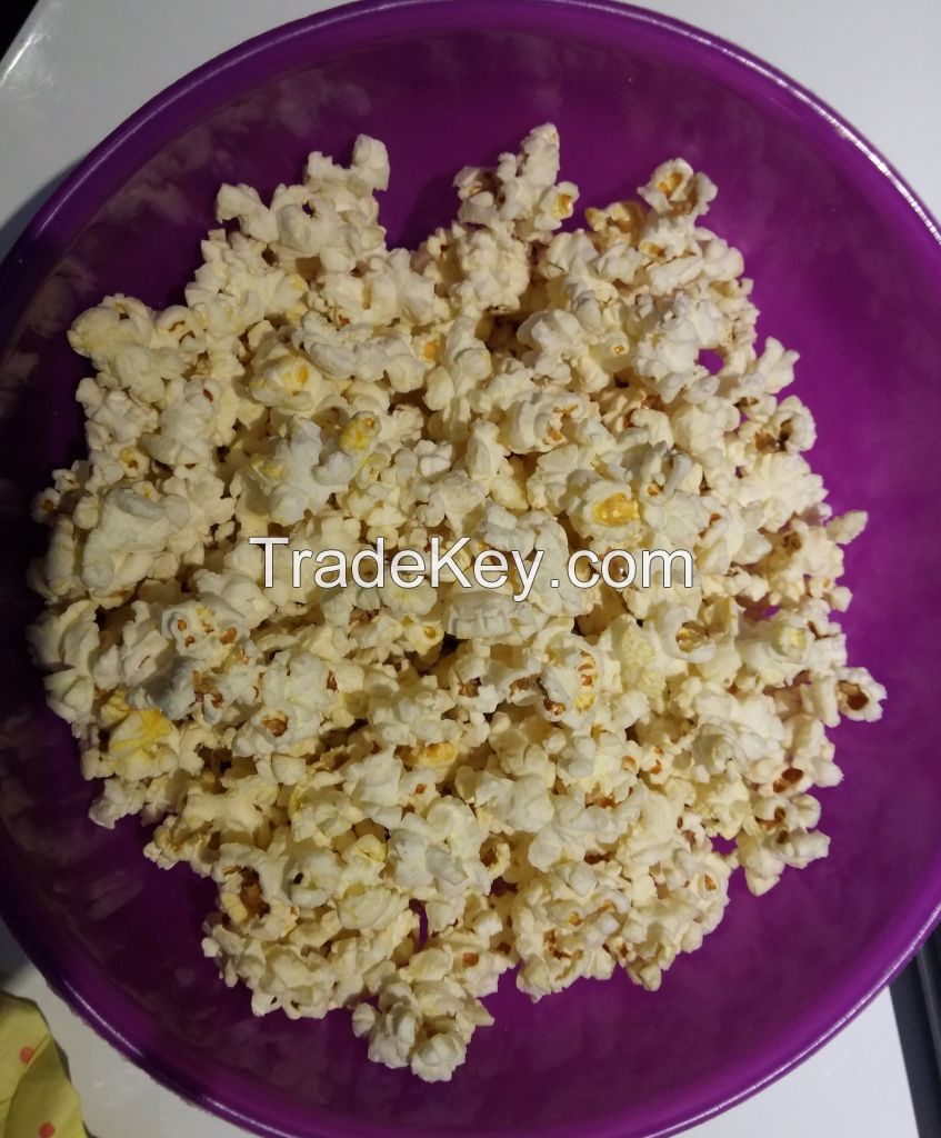 Popcorn Kernels