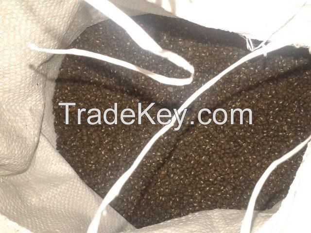 Black Matpe Beans (Thailand)