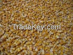 yellow millet