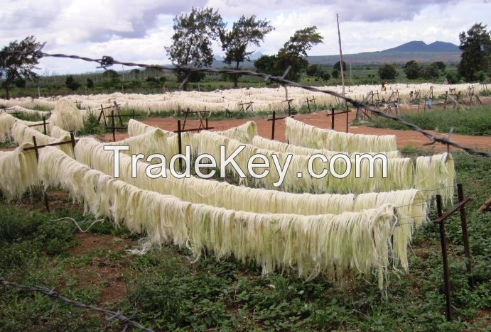 Sisal fiber