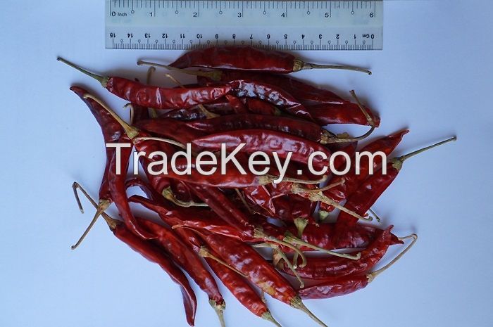 Dried chilli from Viet Nam with high quality, very spicy 