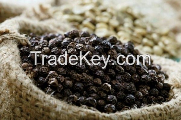 Vietnam Black pepper with high quality 