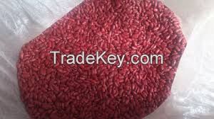 KIdney beans