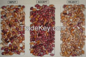 KIdney beans
