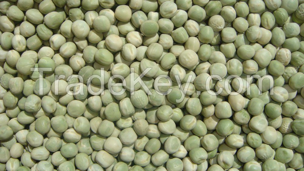 Peas green and yellow