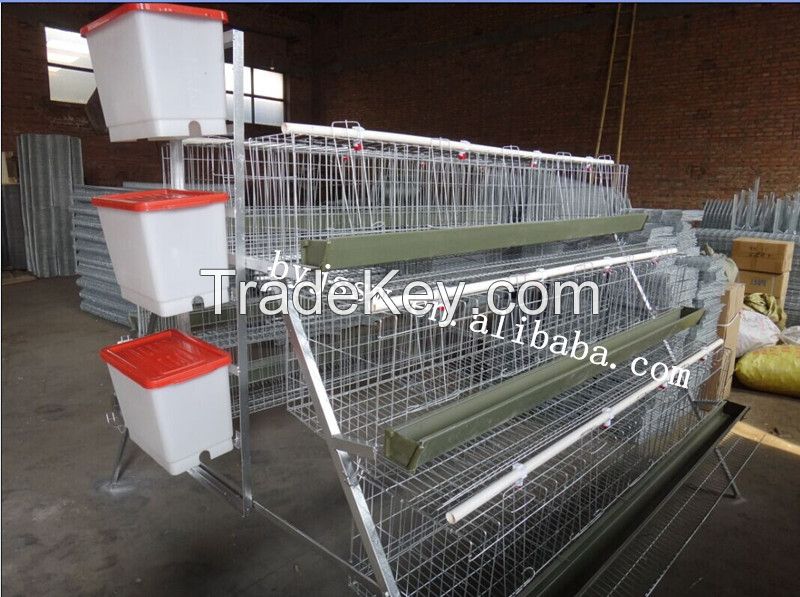 Layer Chicken cage