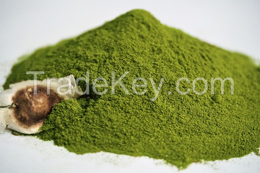 Moringa Powder