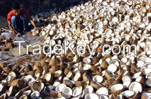 Dried Coconut