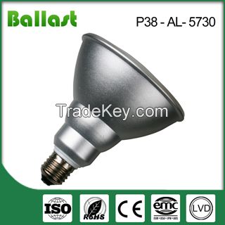 Par38 Led Bulb