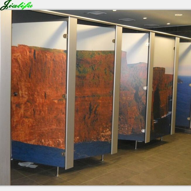 Toilet partition compact HPL picture painted surface