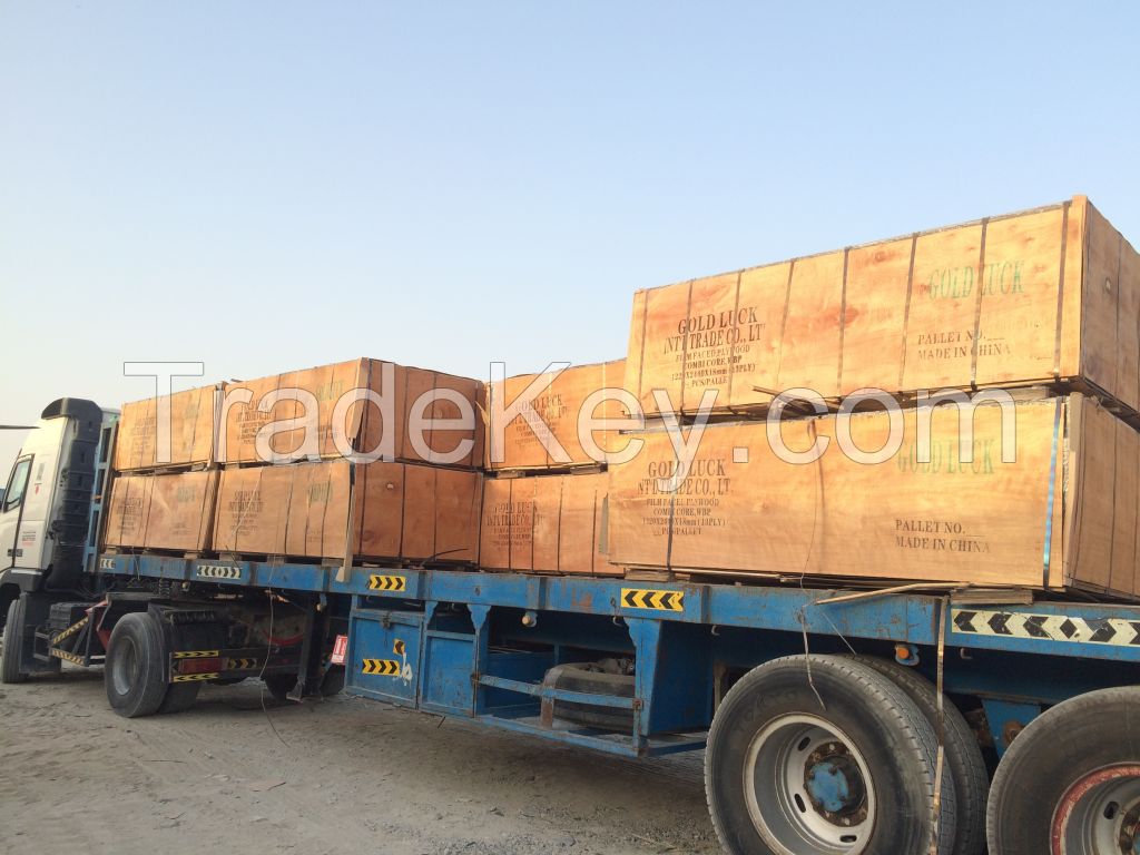 GOLDLUCKPLEX PLYWOOD