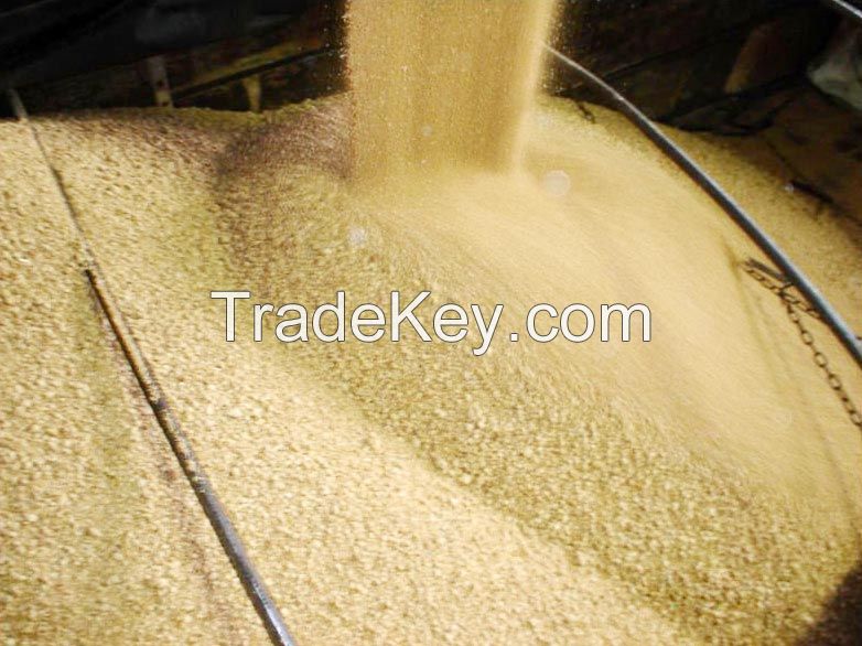 organic soybean meal for animal feed 