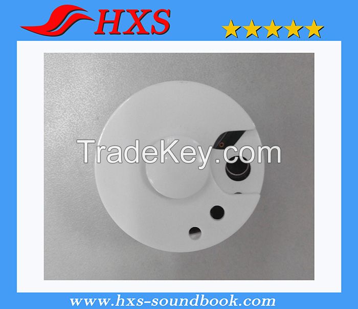 Factory Supplied Recordable Sound Module/ Voice Module/ Sound Box