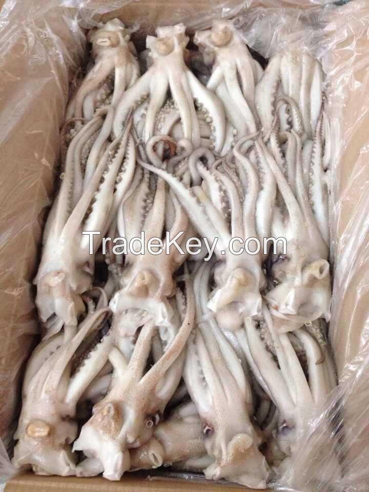 Illex Argentina Squid Tentacle 400-600g