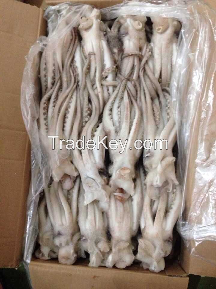 Illex Argentina Squid Tentacle 400-600g