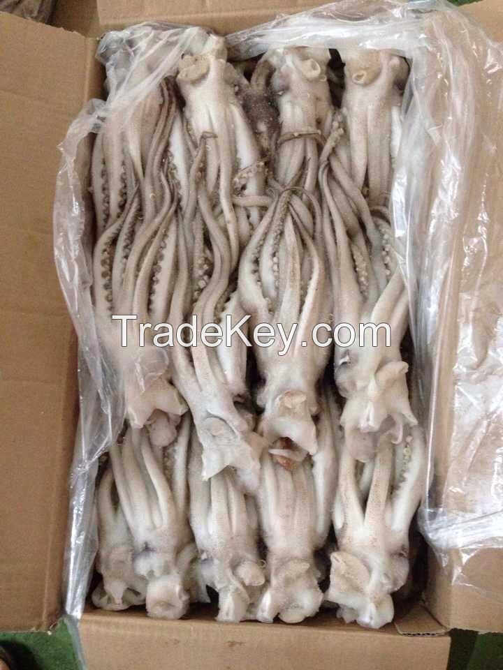 Illex Argentina Squid Tentacle 400-600g