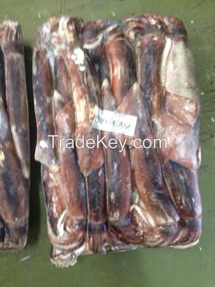 Frozen Illex Squid 300-400g