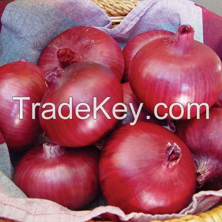 Onions